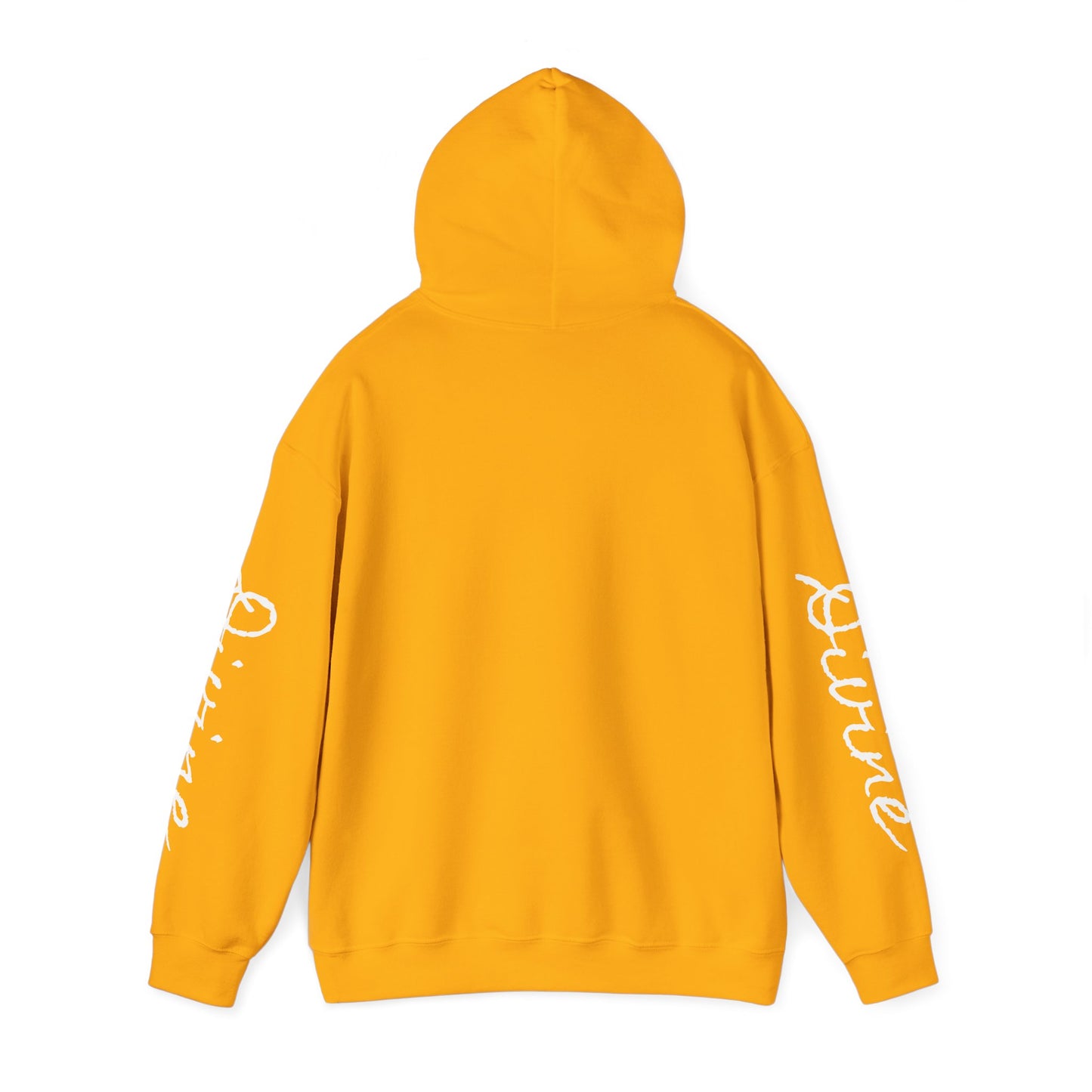 "DIVINE" Unisex Heavy Blend™ Hooded Sweatshirt